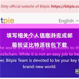 填写相关个人信息并完成邮箱验证比特派钱包下载